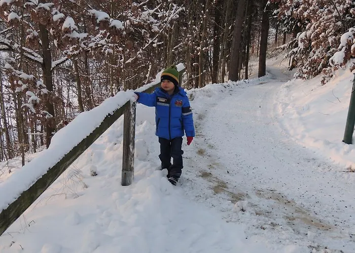 Kirchenwirt Han/Misafirhane Kreuzen (Upper Austria)